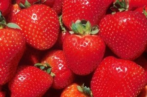 Cele mai bune soiuri de descriere a căpșunii