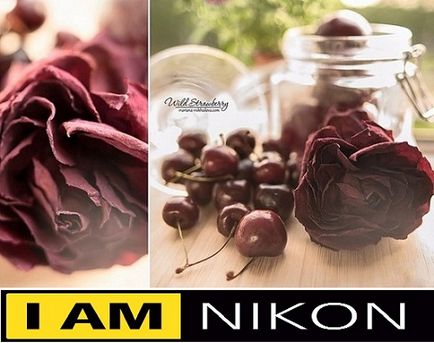 Кращі поради початківцям фотографам від професіоналів з nikon