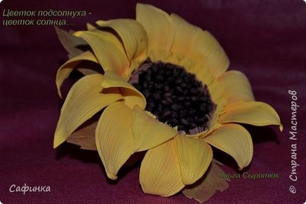 Clasa de masterat asupra creației - o floare de floarea-soarelui de soare, o țară de stăpâni