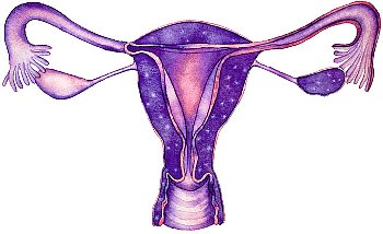 Uterul cu menstruație, cervix cu menstruație, uterul doare în timpul menstruației