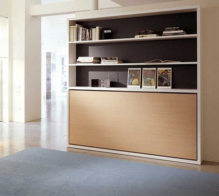 Mobilier viitor, pro manual