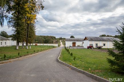 Місцевий - Париж - і монастир з ликом христа, як на плащаниці