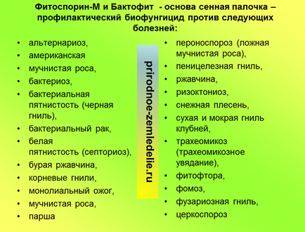 Механізм дії сінної палички на рослини, школа природного землеробства