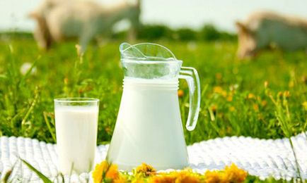 Lapte din proprietăți utile tuse și caracteristicile aplicației