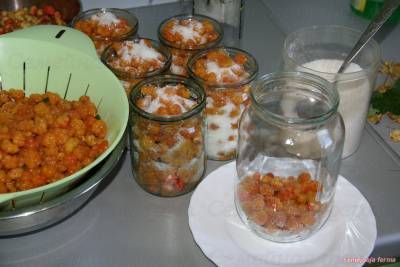 Morochka cu zahăr - semifabricate pentru iarnă - gătit, rețete - bibliotecă - fermă de familie