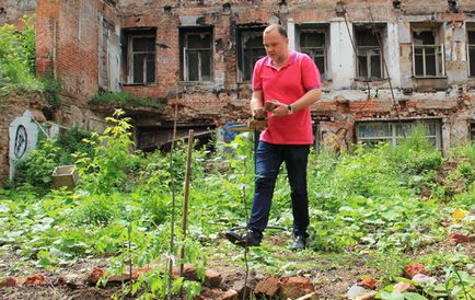 Морські свинки нове тваринництво в першому світі, блог тлумача