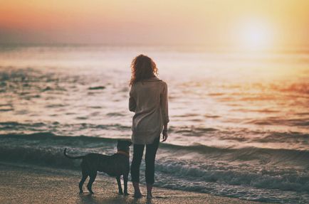 La Marea Neagră cu un câine cum să călătorească cu un animal