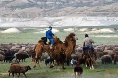 Populația culturii, tradițiilor și obiceiurilor din Kazahstan