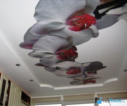 Stretch tavan din material textil - aplicație revista online - bayanay