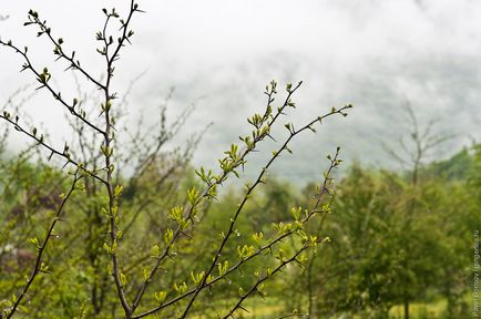 На велосипеді до Кодорської ущелини і до озера Амткел