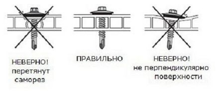 Невъзможно е да се скачи поликарбонатни плоскости в центъра на оранжерии, които правят