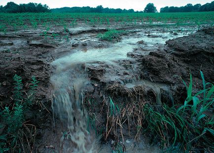 Брак прісної води - вода, h2o це життя нашої планети