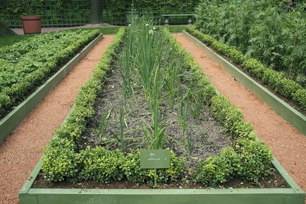 Új régi nyári kert (régészet Summer Garden) Új régi nyári kert
