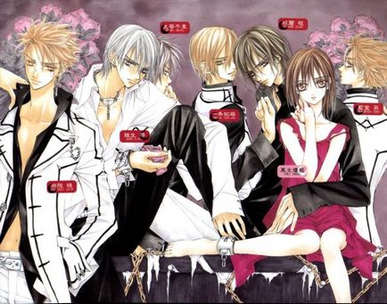 Огляд аніме серіалу лицар вампір (vampire knight), всі відтінки темряви