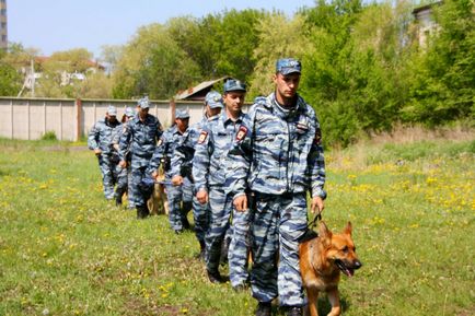 Вони «сидять» на наркотиках і отримують пенсію, або п'ять міфів про поліцейських собак - тварини -