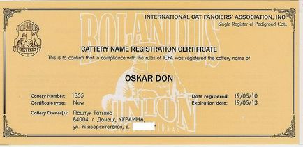 Oskar don - casă de pisici scoțiene