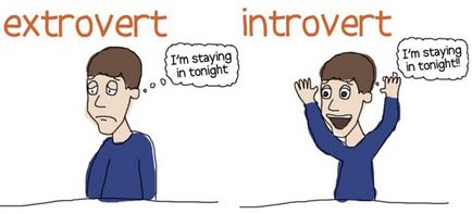 Caracteristicile introvertelor