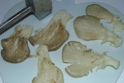 Відбивні з грибів глив рецепти і фото, як приготувати відбивні з глив