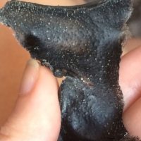 Recenzii despre masca de curatare a cărbunelui - masca neagră - de la puncte negre și acnee pe față