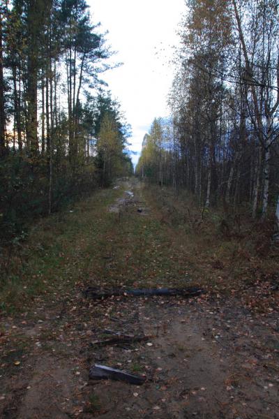 Lacul este un topitor și drumul spre el (regiunea Moscovei, Rusia) - fotografii de pe planeta pământ