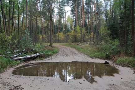 Lacul este un topitor și drumul spre el (regiunea Moscovei, Rusia) - fotografii de pe planeta pământ