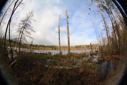 Lacul este un topitor și drumul spre el (regiunea Moscovei, Rusia) - fotografii de pe planeta pământ