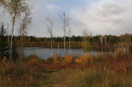 Lacul este un topitor și drumul spre el (regiunea Moscovei, Rusia) - fotografii de pe planeta pământ