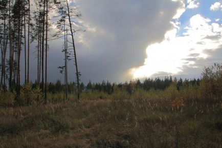 Lacul este un topitor și drumul spre el (regiunea Moscovei, Rusia) - fotografii de pe planeta pământ