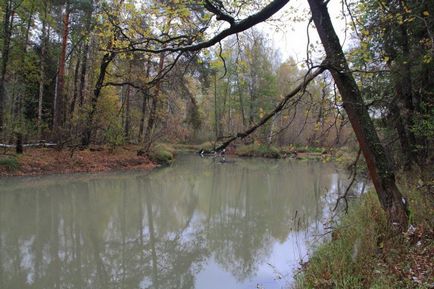 Lacul este un topitor și drumul spre el (regiunea Moscovei, Rusia) - fotografii de pe planeta pământ