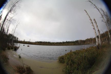 Lacul este un topitor și drumul spre el (regiunea Moscovei, Rusia) - fotografii de pe planeta pământ