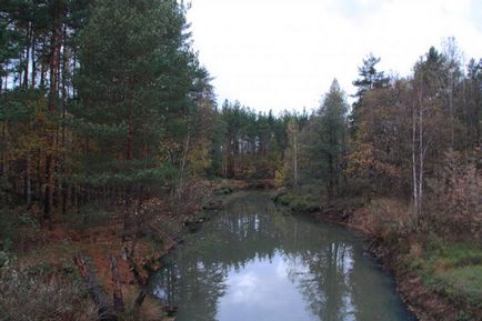 Lacul este un topitor și drumul spre el (regiunea Moscovei, Rusia) - fotografii de pe planeta pământ