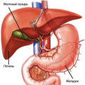 Pancreatită și colecistită