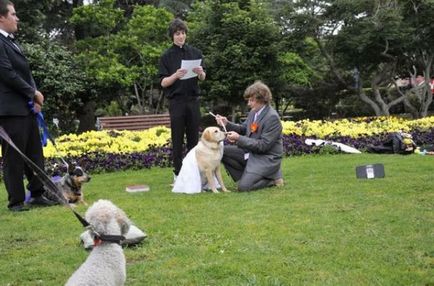 Tipul sa căsătorit cu câinele său (17 fotografii)