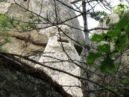 Парк драконів, радоновий джерело в Чистоводне - terra