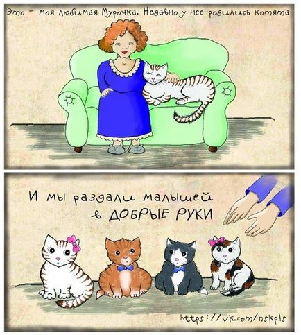 Сумна історія в картинках - навколо кішки
