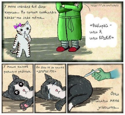 Сумна історія в картинках - навколо кішки