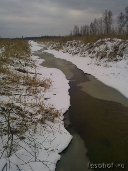 Szomorú látvány! Ivanovskoe tőzeg (Ivanovskoe) Szomorú látvány! Ivanovo tőzeg