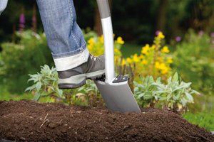 Fie ca să săpați o grădină în toamnă este necesar să faceți acest lucru, calendarul și caracteristicile sunt ușoare