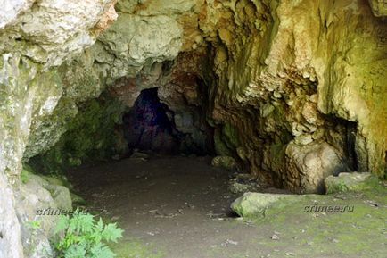 Peștera omului 1