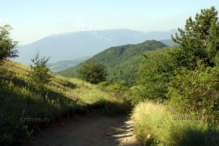 Peștera omului 1