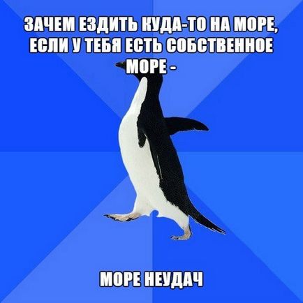 Penguin-sociophobe, memepedia