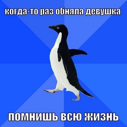 Penguin-sociophobe, memepedia