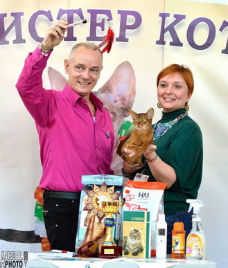 Розплідник абіссінських кішок дзеркало душі або abyssinian cattery mirror of soul