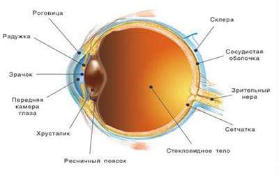 De ce globul ocular provoacă posibile cauze și metode de tratament - 