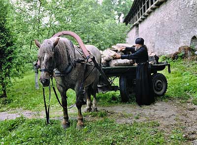 Чому ковзають ковзани на льоду