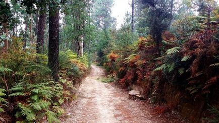 Ezért mentem a Camino de Santiago, és ennyi (írástudás kampány), belső, külső,