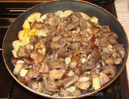 Boletus burgonyát egy szibériai (tinorú burgonya szibériai) Boletus és a burgonya egy szibériai