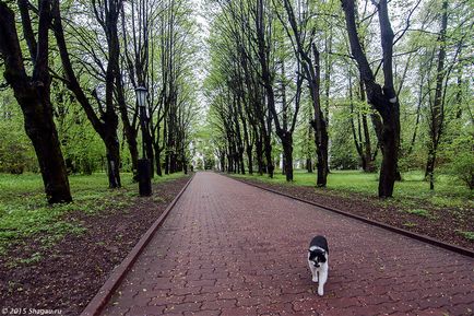 Поїздка в садибу Льялово (Морозівка) або не відбулася дача Сталіна