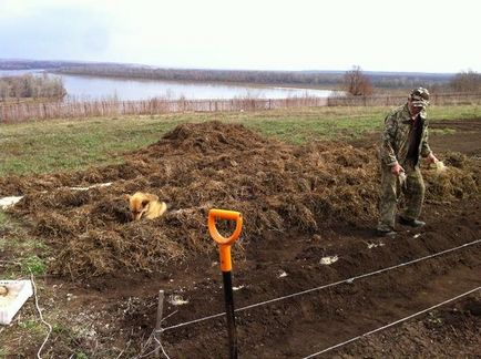 Посадка картоплі відео, домсадовніка