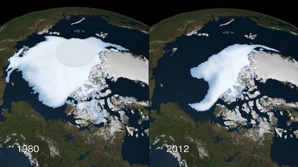 Efectele schimbărilor climatice